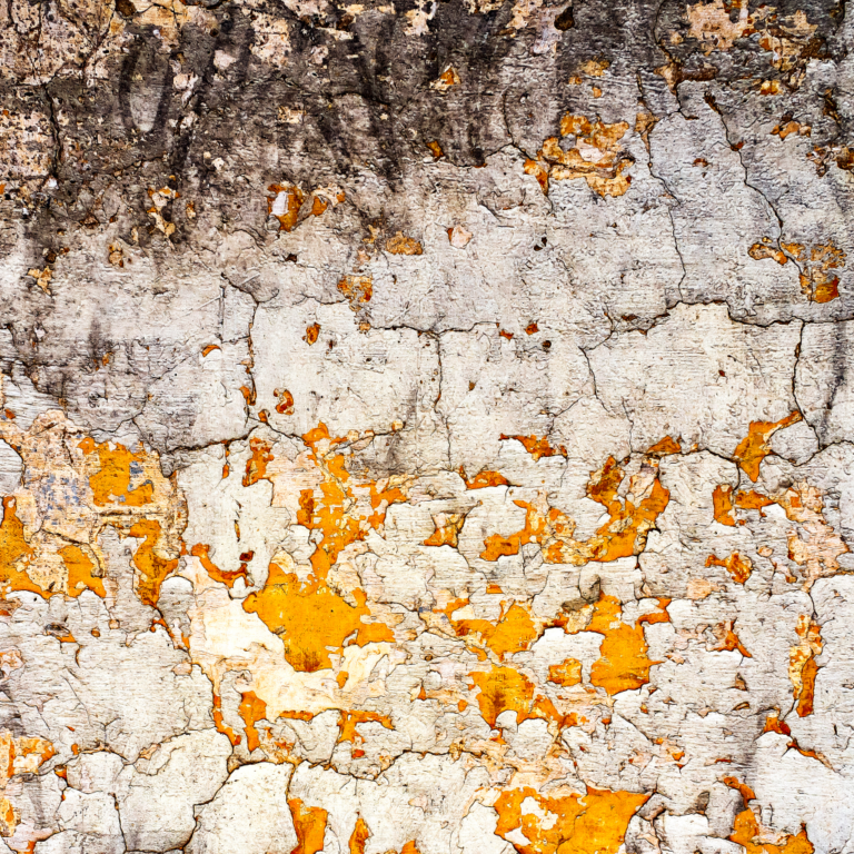 Orange Mold Removal in Orlando: Expert Guide to Protecting Your Home and Maximizing Your Insurance Claim