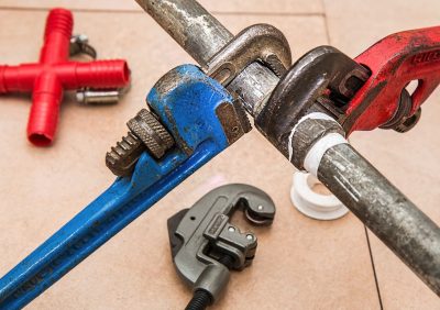 water-mold-damage